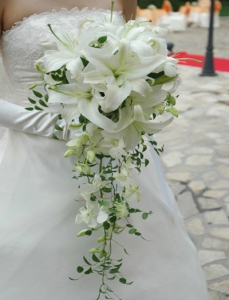 Hoa lan cưới