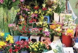 Shop hoa tươi TP Thủ Dầu Một, Điện hoa TP Thủ Dầu một, Đặt hoa TP thủ dầu một, cửa hàng hoa TP thủ dầu một.