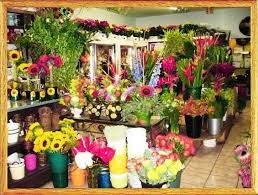 Shop hoa tươi Thị Xã Tân Uyên, Điện hoa thị xã Tân Uyên, Đặt hoa thị xã Tân Uyên, Cửa hàng hoa Thị Xã Tân Uyên.