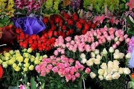 Shop hoa tươi Thị Xã Thuận An, Điện hoa thị xã Thuận An, Đặt hoa thị xã thuận An, Cửa hàng hoa tươi thị xã THuận An.
