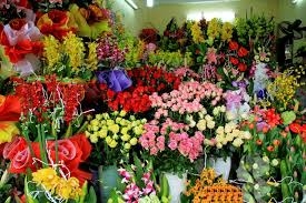 Shop hoa tươi TP Bà Rịa, Điện hoa Bà Rịa Vũng Tàu, Đặt hoa Bà Rịa, Cửa hàng hoa tươi tp Bà Rịa.