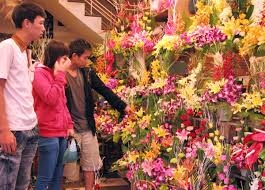 Shop hoa tươi thị xã Hương Thủy tp Huế, Điện hoa thị xã hương thủy, đặt hoa thị xã hương thủy, Cửa hàng  hoa tươi Thị xã Hương Thủy.
