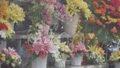 Shop hoa tươi huyện Tân Thành Vũng Tàu, Điện hoa huyện Tân Thành, Đặt hoa huyện Tân Thành, Cửa hàng hoa tươi huyện Tân Thành.
