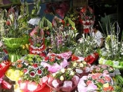 Shop hoa tươi huyện Long Điền Vũng Tàu, Điện hoa huyện Long Điền, Đặt hoa huyện Long Điền, Cửa hàng hoa tươi huyện Long Điền.