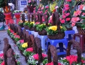 Shop hoa tươi Phú Lộc tỉnh Thừa Thiên Huế, Điện hoa Phú Lộc, Đặt hoa Phú Lôc, Cửa hàng hoa Phú Lộc.