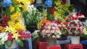 Shop hoa tươi Vân Đồn, Điện hoa Vân Đồn, Đặt hoa Vân Đồn, Cửa hàng hoa tươi huyện Vân Đồn tỉnh Quảng Ninh.