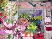 Shop hoa tươi Cẩm giàng, Điện hoa Cẩm giàng, Hoa tươi Cẩm Giàng tỉnh Hài Dương.
