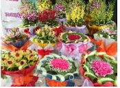 Shop hoa tươi huyện Bình Giàng, Điện hoa Bình Giàng, Hoa tươi huyện Bình Giàng tỉnh Hải Dương.