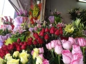 Shop hoa tươi Bình Xuyên, Điện hoa Bình Xuyên, Hoa tuoi Bình Xuyên Vĩnh phúc.