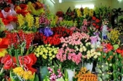 Shop hoa tươi huyện Hương Sơn, Điện hoa Hương Sơn, Hoa tươi Hương Sơn.