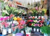 Shop hoa tươi Hoa lư, Điện hoa Hoa lư, Hoa tươi Hoa Lư Ninh Bình.
