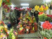 Điện hoa Quy Nhơn, Shop hoa Quy Nhơn, Hoa tươi TP Quy Nhơn Bình Định.