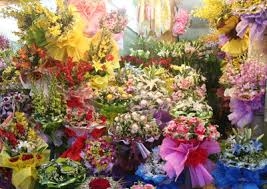 Điện hoa Hồng Ngự, hoa tươi Hồng Ngự, Shop hoa Thị Xã Hồng Ngự tỉnh Đồng Tháp.