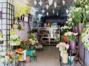Điện hoa Tam bình, Shop hoa Tam Bình, Hoa tươi huyện Tam Bình Tỉnh Vĩnh Long.