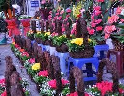 Điện hoa Kiên Lương, hoa tươi kiên lương, shop hoa tươi kiên lương kiên giang.