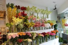 Điện hoa Phú Quốc, hoa tươi Phú Quốc, shop hoa tươi Phú Quốc kiên giang.